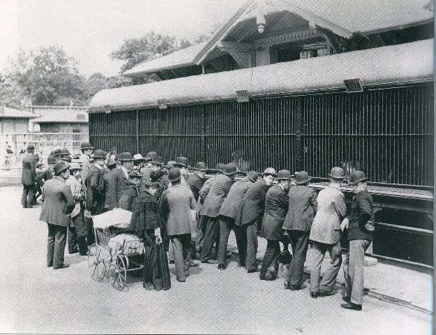 Crowds in front of the lion cages