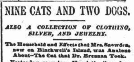 A drawing from the New York Sun shows several cats and a dog in a cluttered room, some with collars.