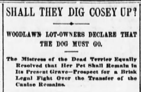 Newspaper headlines decrying the burial of a dog in a human cemetery.