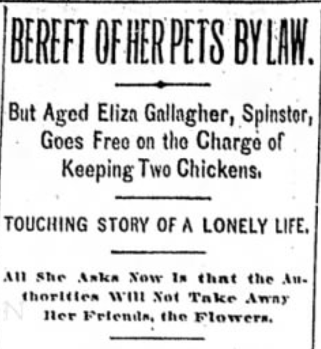 Newspaper clipping from The New York World, November 25, 1899, with the headline A THANKSGIVING TALE OF OLD NEW YORK